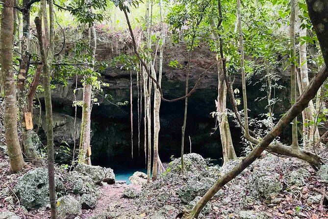 Bike and Buggy Excursion to Cenote Maya With Atypical Meal - Booking and Cancellation Policy