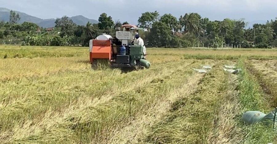 Biking Tour: Nha Trang Countryside - Good To Know