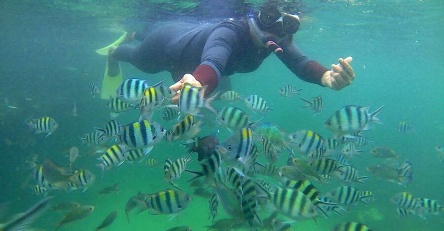 Bintan Snorkeling - Good To Know
