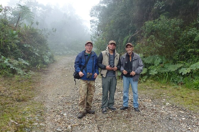 Birdwatching Paradise in Via Sigsig, Chiguinda