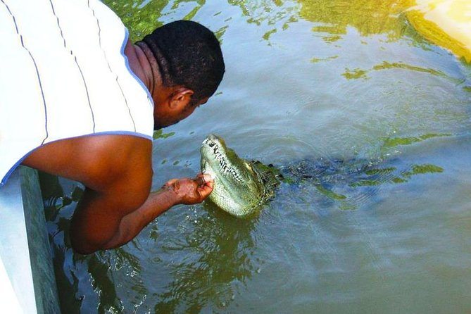 Black River Safari With Transport From Montego Bay - Tour Inclusions