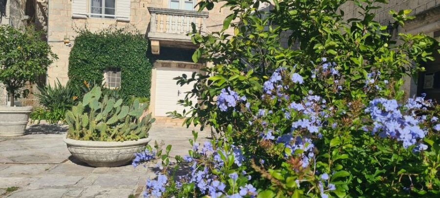 Blue Sea & Black Mountains - Montenegro - Good To Know