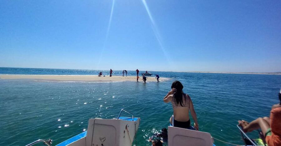 Boat Tour in Ria Formosa 3H - Good To Know