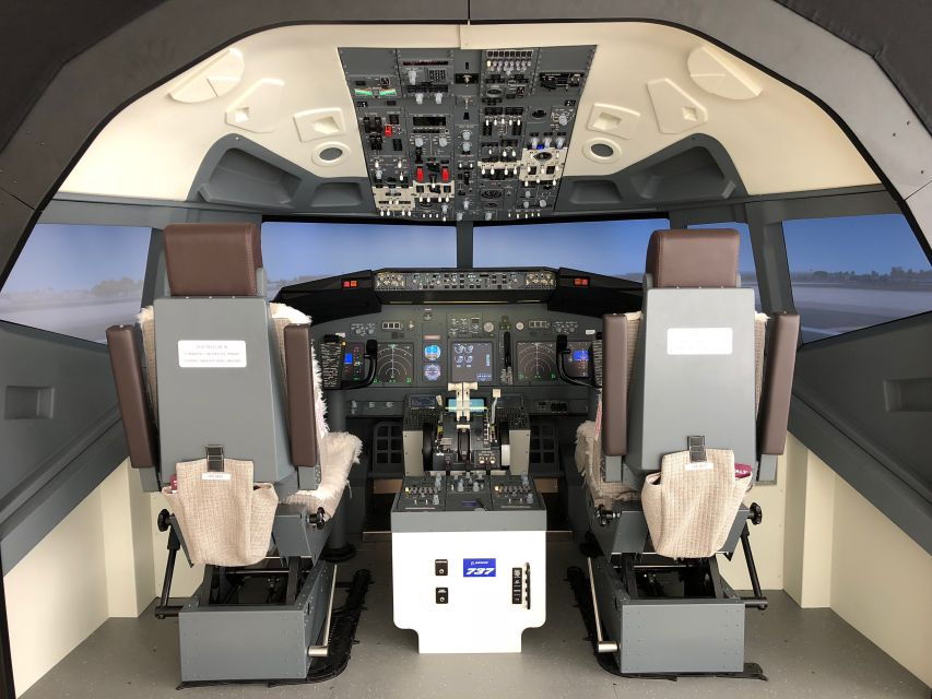 Boeing 737-800 Professional Simulator - 30 Minutes - Simulation Highlights
