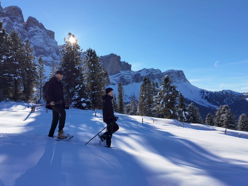 Bolzano Dolomites: Winter Hiking & Sledding Experience - Private Group & Languages