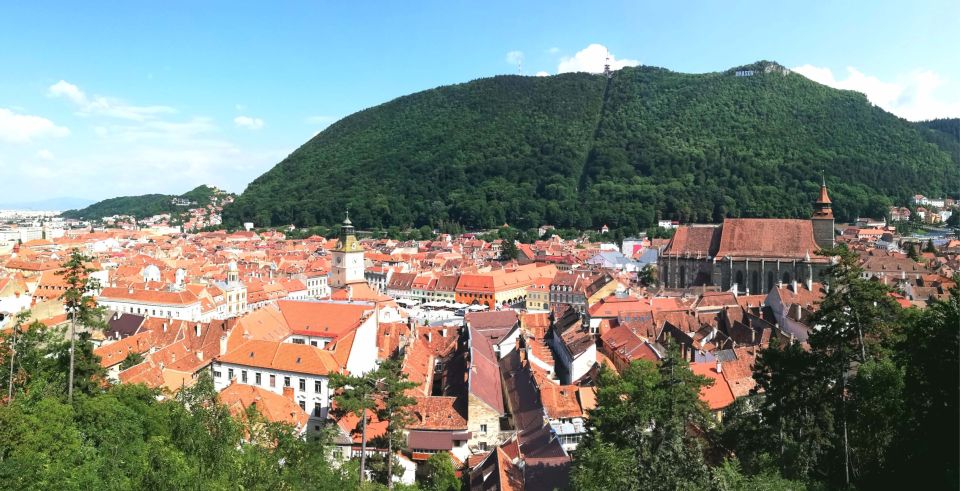 Bran: Private Guided Tour Dracula's Castle & Bear Sanctuary - Location Highlights and Immersive Experience