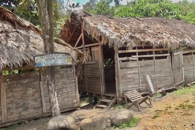 BriBri Village: Chocolate Tour & Waterfalls Adventure
