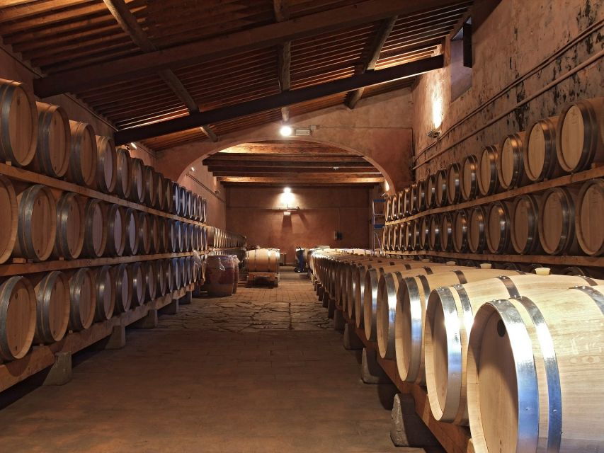 Brunello Di Montalcino Wine Tour From San Gimignano