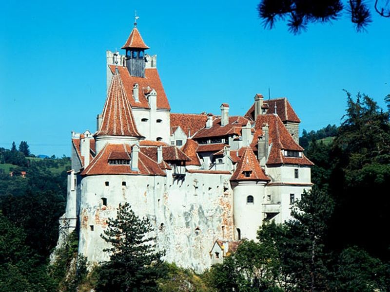 Bucharest: 12-Hour Tour of Brasov and Dracula's Castle - Good To Know