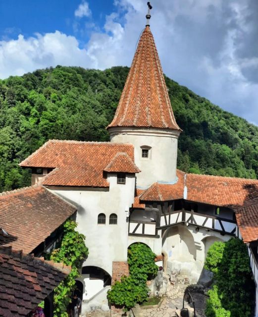 Bucharest: Bran Castle, Peles Castle and Brasov Day Tour - Cancellation Policy