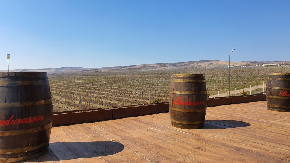 Bucharest: Dealu Mare Winery Private Trip With Wine Tasting - Tour Highlights