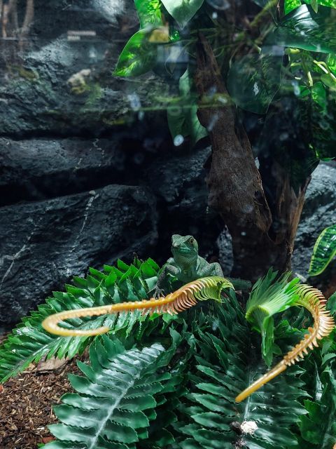 Bucharest: Reptiland Bucharest Entry Ticket - Inclusions