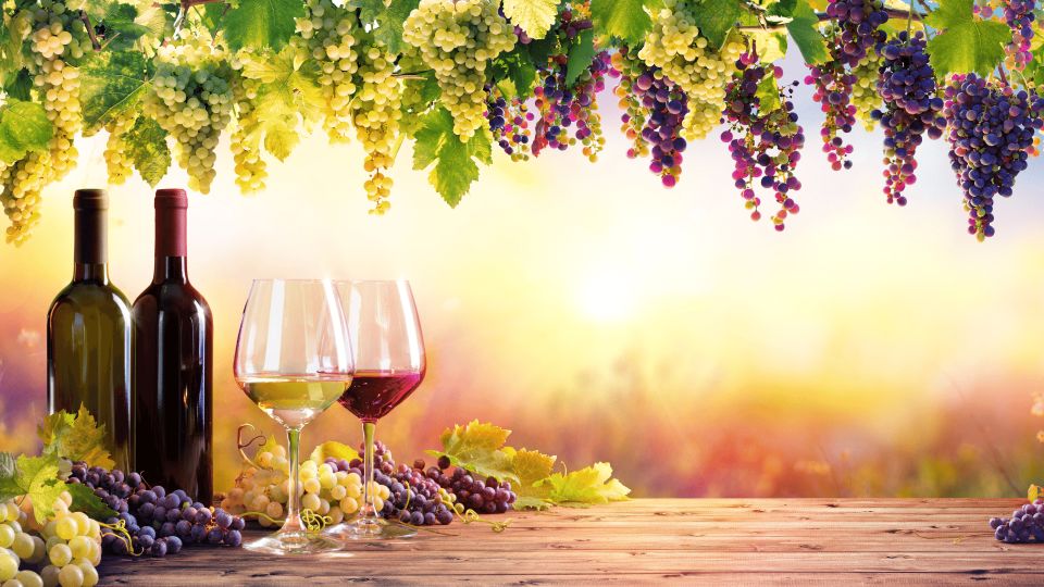 Bucharest: Salt Mine, Winery and Dracula Grave - Private - Good To Know