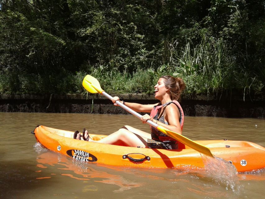 Buenos Aires: Tigre River Bike and Kayak Tour With Lunch - Experience Highlights