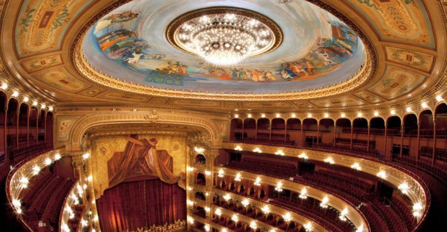 Buenos Aires: Walking City Tour With Colón Theater & Museums - Experience Highlights