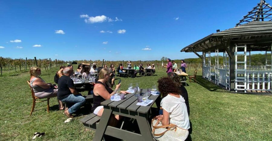 Buenos Aires: Wine Tasting and Lunch at Bodega Gamboa - Review Summary