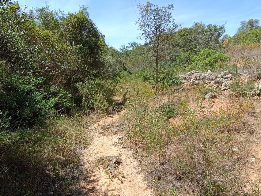 Bush Walk, Chimneys, and Wine