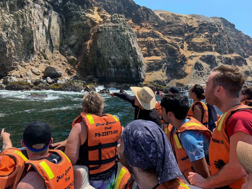 Callao: Swimming With Sea Lions Palomino Islands Boat Tour - Good To Know