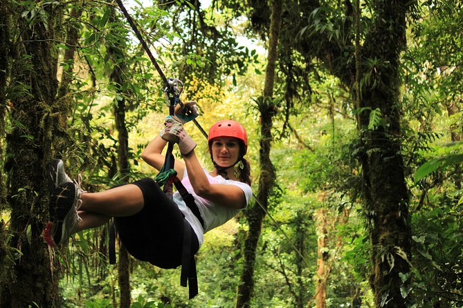 Canopy Zipline & Butterflies From Monteverde