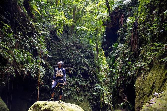 Canyon Experience in Dominica - Tour Overview and Requirements