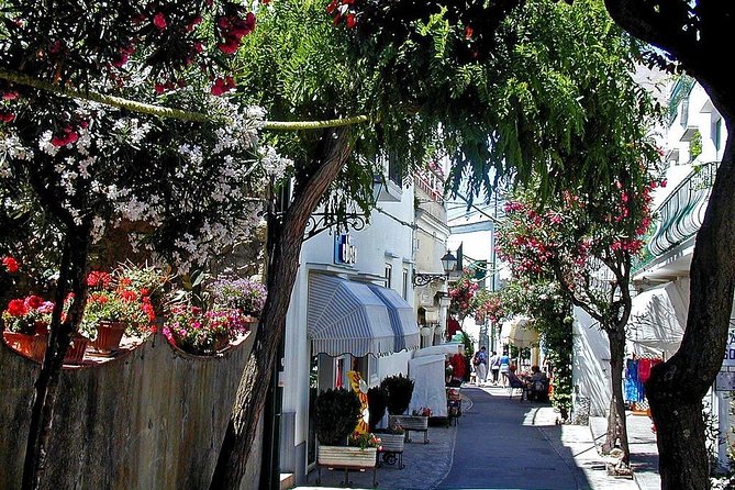 Capri Full Day Walking Tour (8 Hours) - Professional Guide