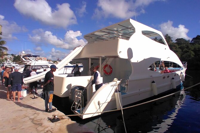 Catalina Island Snorkeling Adventure With Altos De Chavon - Snorkeling Gear Provided