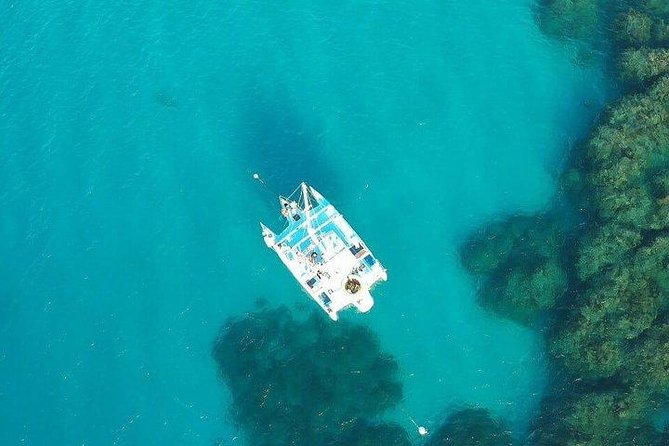 Catamaran & Dunns River Falls Private Transfer From Royalton White Sands/Blue W - Good To Know