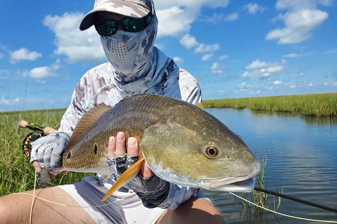 Catch Redfish in the Marsh From a SUP in New Orleans - Redfish Habitat in New Orleans Marsh