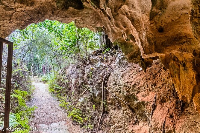 Cayman Crystal Caves Tour in Grand Cayman Island - Traveler Photos and Reviews