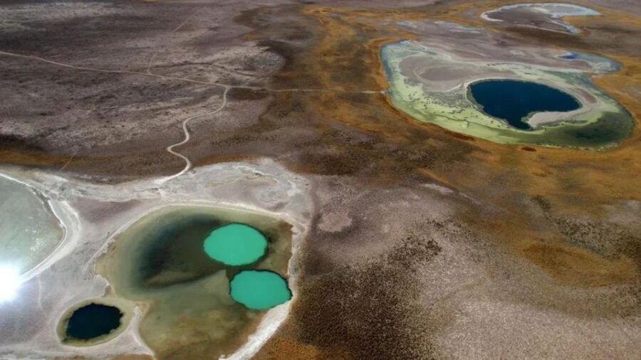 Cejar Lagoon Tour – Flotation, Sunset, Cocktail & More!”