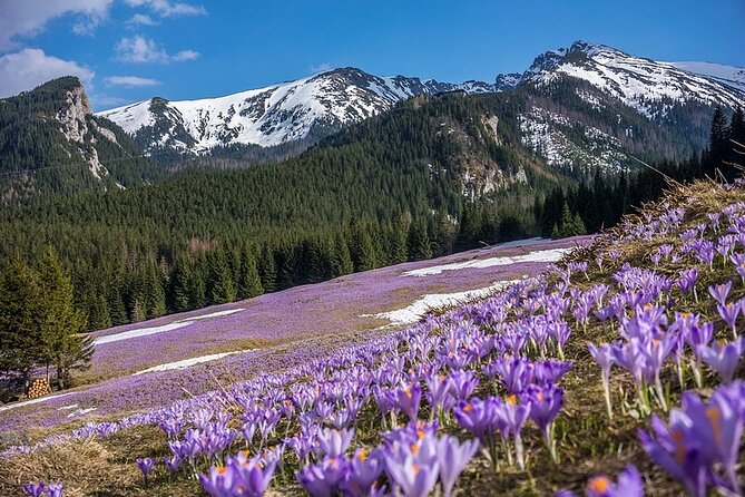 Charming Zakopane and Tatra Mountains – Guided Tour From Krakow - Meeting and Pickup Info