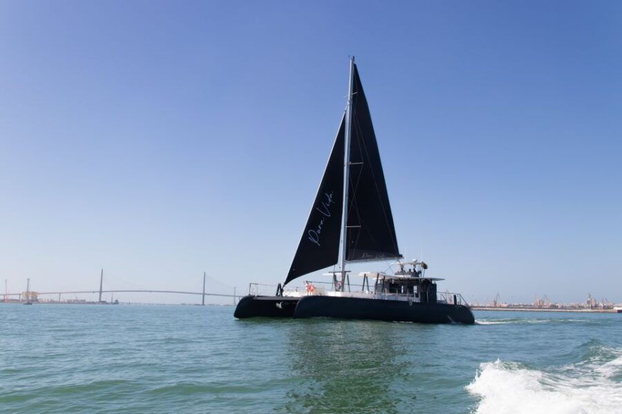 Chiclana De La Fra: Coast of Sancti Petri Catamaran Tour