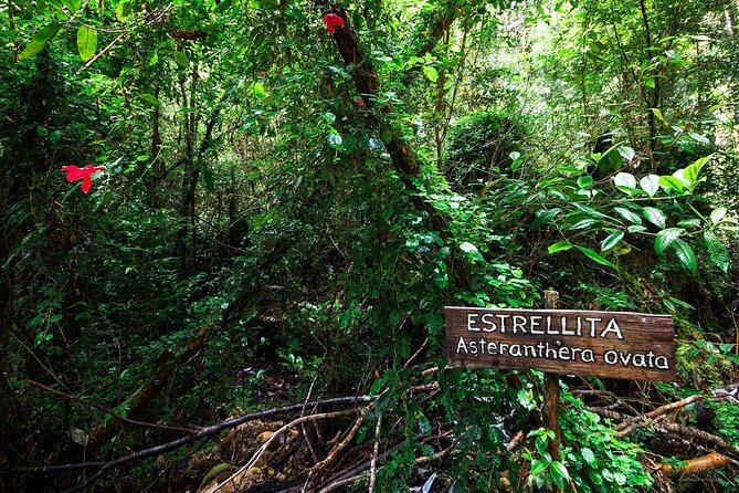 Chiloe National Park and Chonchi “Darwin Route”