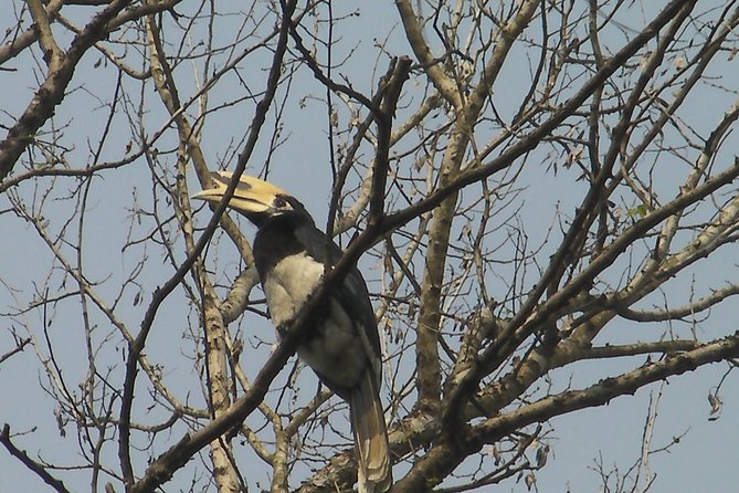 Chitwan National Park 2 Nights and 3 Days - Good To Know