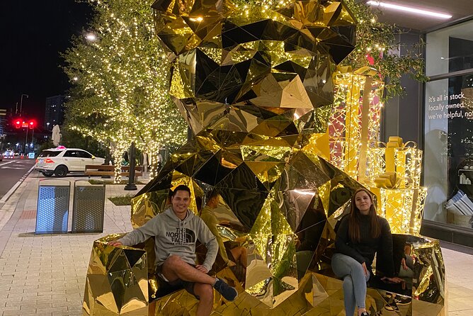 Christmas Lights Wonderland Deluxe Golf Cart Guided Tour in Tampa - Tour Highlights