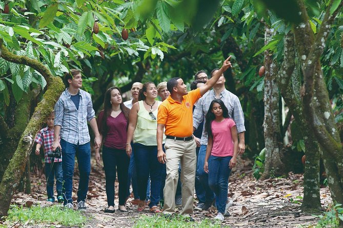 Cocoa Trail and Making of Chocolate Tour From Santo Domingo - Good To Know