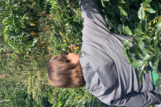 Coffee Tour - Good To Know