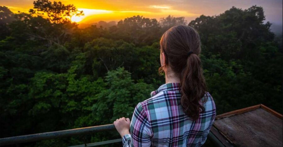 Collpa Guacamayo 2D Excursion Jungle Sunset