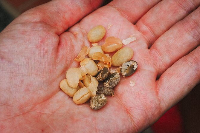 Colombian Coffee Tour: Santa Elena Adventure - Good To Know