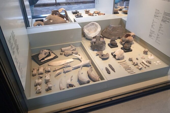 Colosseum Roman Forum Entrance Ticket and Multimedia Video - Good To Know