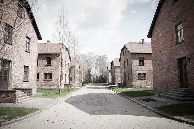 Combined: Auschwitz Birkenau and Salt Mine Private Chauffeur From Krakow - Good To Know