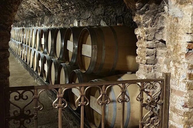 Concha Y Toro Semi-Private Tour With 3 Wine Tastings