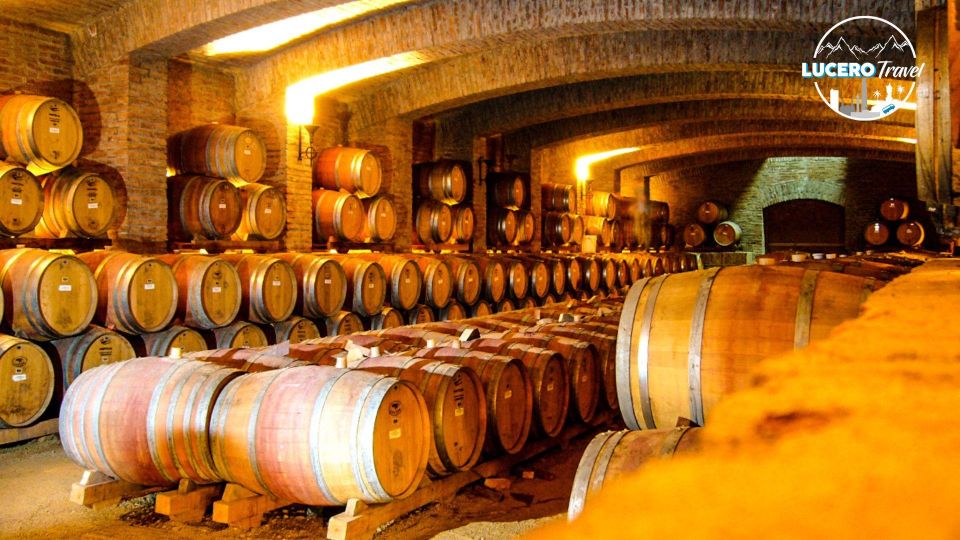 Concha Y Toro Vineyard