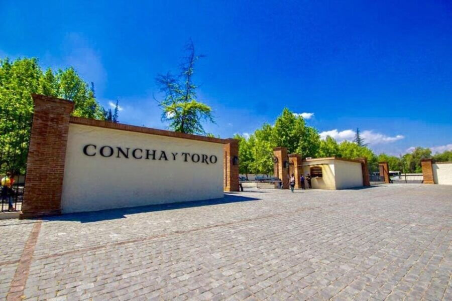 2 Best Wine Tours In Pirque