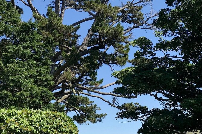 Connemara, Kylemore Abbey and Wild Atlantic Way Tour From Galway - Tour Details and Logistics