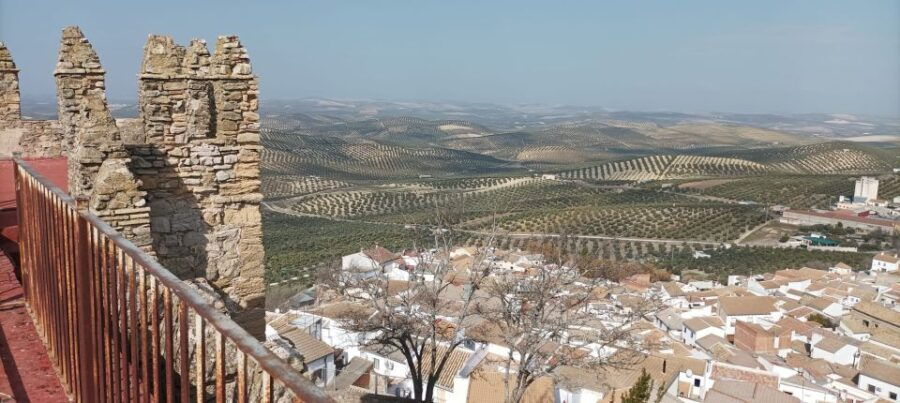 Córdoba: Ducal Castle Guided Walking Tour