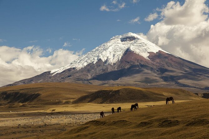 Cotopaxi Tour Unveils Breathtaking Natural Beauty