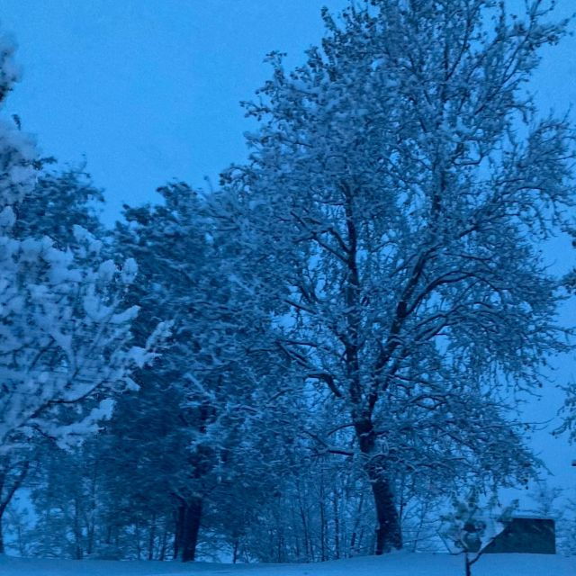 Courmayeur: Find Your Inner Goddess in Forest - Good To Know