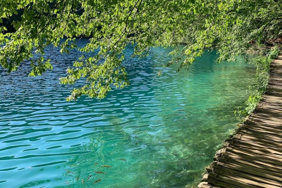 Croatia: Plitvice Lakes Private Tour With Hotel Pickup - Good To Know