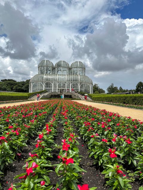 Curitiba: a Complete City Tour